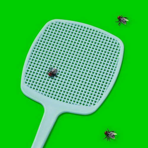 Fly swatter - fly,