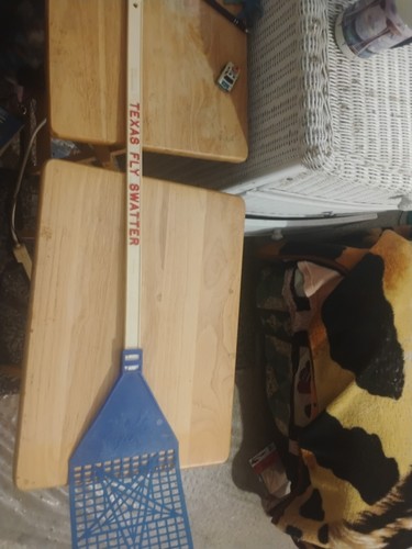 Texas fly swatter - texas,